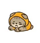フード付きトラねこ（個別スタンプ：11）