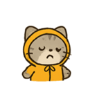 フード付きトラねこ（個別スタンプ：12）