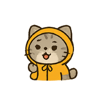 フード付きトラねこ（個別スタンプ：13）