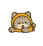 フード付きトラねこ（個別スタンプ：14）