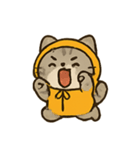 フード付きトラねこ（個別スタンプ：16）