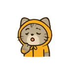 フード付きトラねこ（個別スタンプ：17）