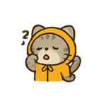 フード付きトラねこ（個別スタンプ：18）