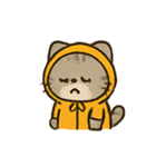 フード付きトラねこ（個別スタンプ：23）