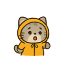 フード付きトラねこ（個別スタンプ：24）