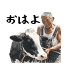 ジャージージジィ！(毎日凄く便利な返信)（個別スタンプ：1）