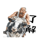 ジャージージジィ！(毎日凄く便利な返信)（個別スタンプ：2）