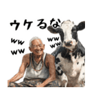 ジャージージジィ！(毎日凄く便利な返信)（個別スタンプ：7）