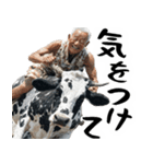 ジャージージジィ！(毎日凄く便利な返信)（個別スタンプ：9）