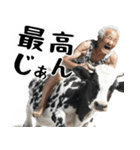 ジャージージジィ！(毎日凄く便利な返信)（個別スタンプ：16）