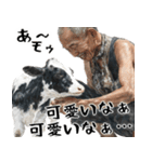 ジャージージジィ！(毎日凄く便利な返信)（個別スタンプ：23）