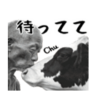 ジャージージジィ！(毎日凄く便利な返信)（個別スタンプ：30）