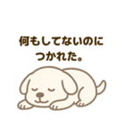 がんばらない犬の日常（個別スタンプ：1）