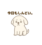 がんばらない犬の日常（個別スタンプ：8）