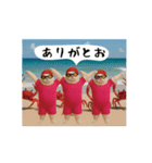 お猫様の吹き出しスタンプ10（個別スタンプ：3）