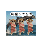お猫様の吹き出しスタンプ10（個別スタンプ：6）