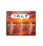 お猫様の吹き出しスタンプ10（個別スタンプ：16）