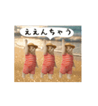 お猫様の吹き出しスタンプ10（個別スタンプ：18）