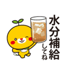みきゃん 夏（個別スタンプ：18）
