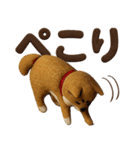 大人可愛い！柴犬の日常会話[でか文字]3D（個別スタンプ：3）