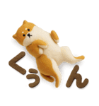大人可愛い！柴犬の日常会話[でか文字]3D（個別スタンプ：11）