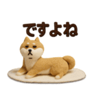 大人可愛い！柴犬の日常会話[でか文字]3D（個別スタンプ：12）