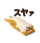 大人可愛い！柴犬の日常会話[でか文字]3D（個別スタンプ：15）