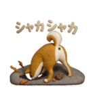 大人可愛い！柴犬の日常会話[でか文字]3D（個別スタンプ：30）