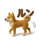 大人可愛い！柴犬の日常会話[でか文字]3D（個別スタンプ：31）