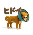 大人可愛い！柴犬の日常会話[でか文字]3D（個別スタンプ：38）