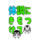 カラフルでか文字 ペンギン☆BIGスタンプ（個別スタンプ：24）