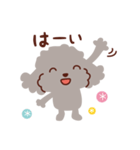 トイプードル色々_ごきげんな日々（個別スタンプ：1）