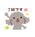 トイプードル色々_ごきげんな日々（個別スタンプ：2）