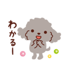 トイプードル色々_ごきげんな日々（個別スタンプ：12）