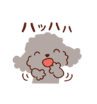 トイプードル色々_ごきげんな日々（個別スタンプ：20）