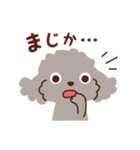 トイプードル色々_ごきげんな日々（個別スタンプ：24）