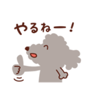 トイプードル色々_ごきげんな日々（個別スタンプ：29）