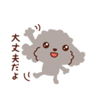 トイプードル色々_ごきげんな日々（個別スタンプ：31）