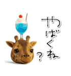mottoのハッピーアニマルセット♡夏（個別スタンプ：31）