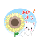 飛び出す！ちび白モフ18【夏】（個別スタンプ：1）