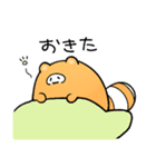 まるまるたぬきスタンプ2（個別スタンプ：24）