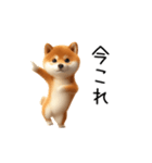 踊る！今これ柴犬（個別スタンプ：1）