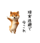 踊る！今これ柴犬（個別スタンプ：19）