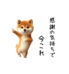 踊る！今これ柴犬（個別スタンプ：23）