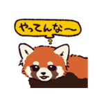 レッサーパンダです。（個別スタンプ：2）