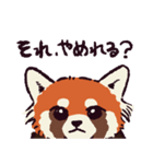 レッサーパンダです。（個別スタンプ：3）