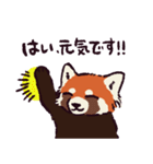 レッサーパンダです。（個別スタンプ：8）