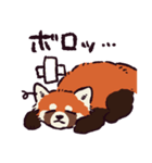 レッサーパンダです。（個別スタンプ：10）