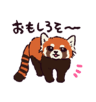 レッサーパンダです。（個別スタンプ：14）