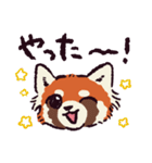 レッサーパンダです。（個別スタンプ：15）